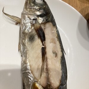 大物ムロアジの塩焼き！